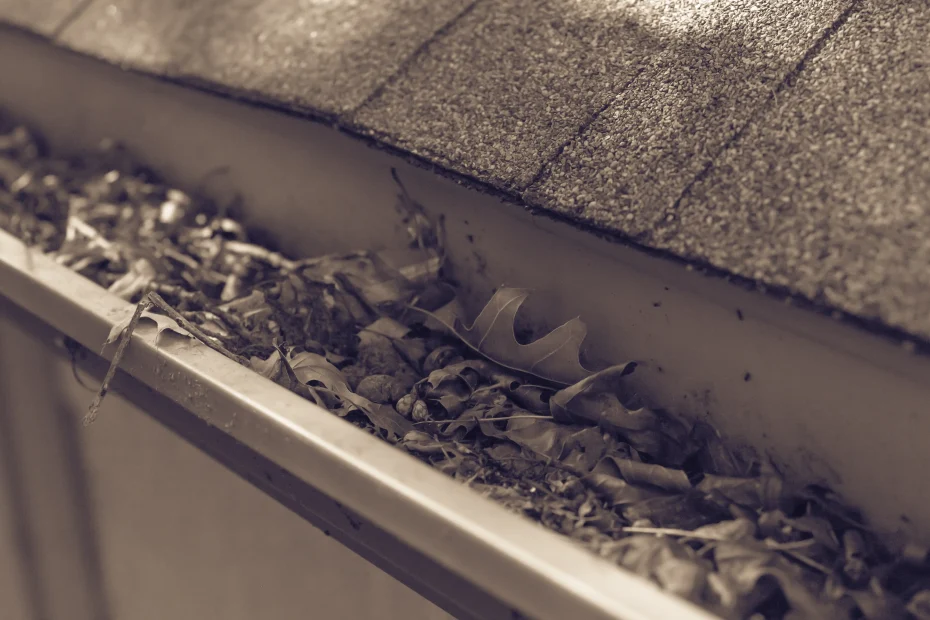 Gutter Cleaning Timberwood Park TX