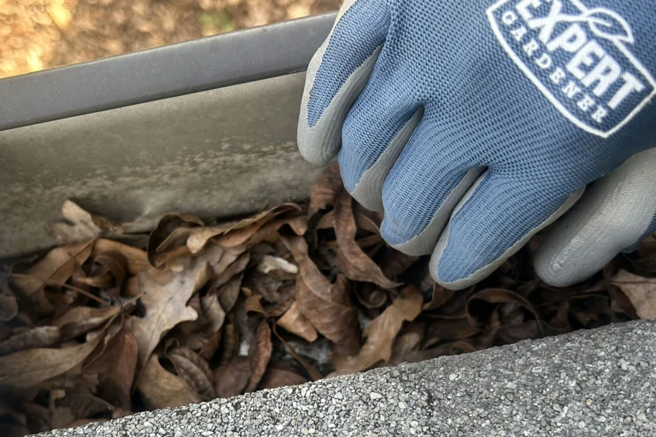 Gutter Cleaning Timberwood Park TX