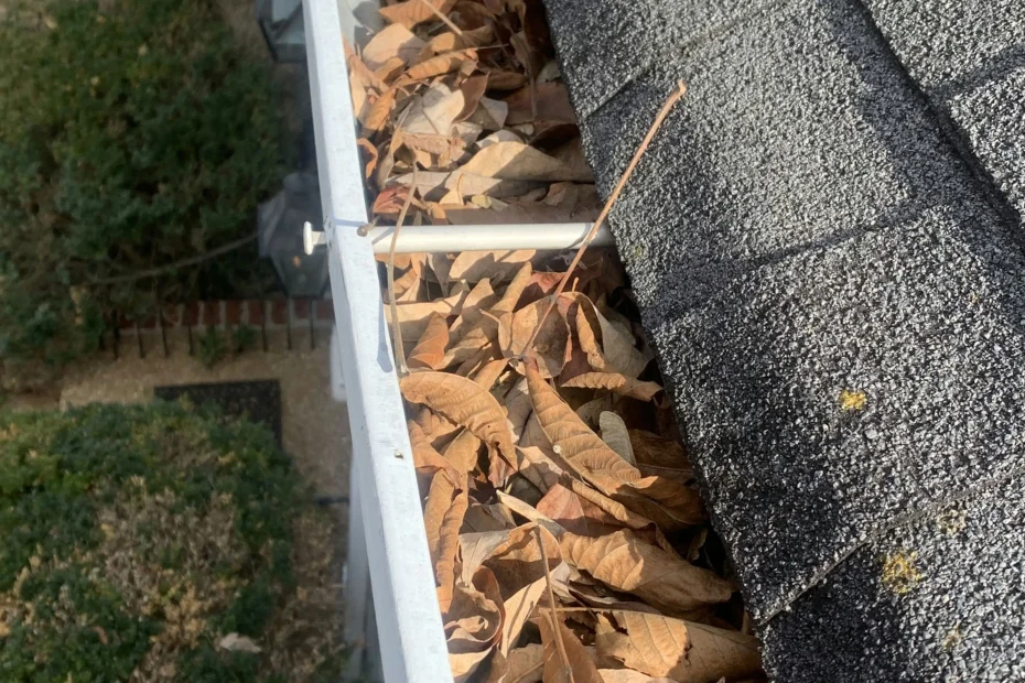 Gutter Cleaning Timberwood Park TX